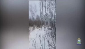 В Нижнетавдинском лесу поймали  браконьера