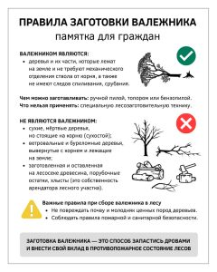 Валежник: заготавливаем правильно