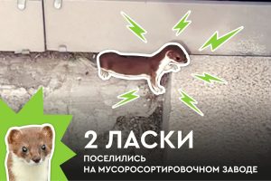 Отдел контроля милоты 😍