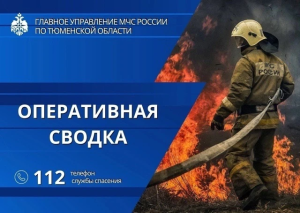 Операционно-спасательные сводки Тюменской области