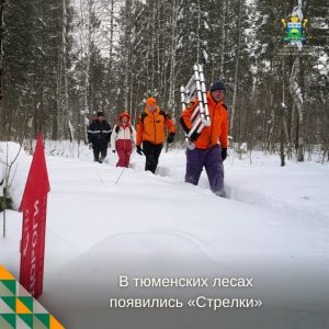 Добровольцы «ЛизаАлерт» устанавливают указатели в лесах Нижнетавдинского округа
