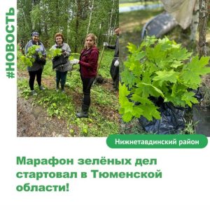  Марафон зелёных дел стартовал в Тюменской области!