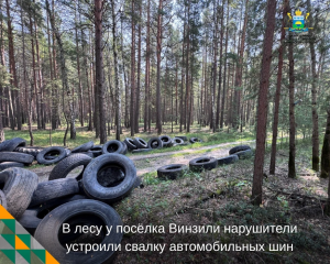 ⚠ Одни свалки ликвидируют, другие появляются…