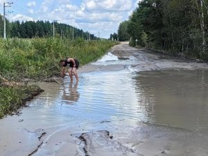Болото разливается — номера в жиже теряются!